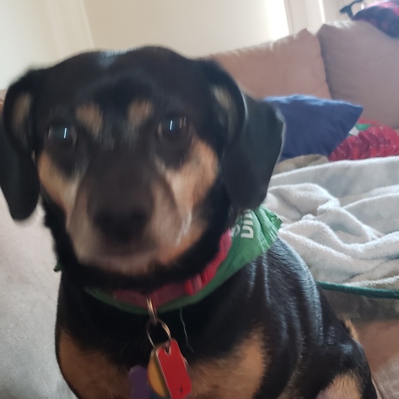 Meet your Posher, Andrea - Picture 1 of 1